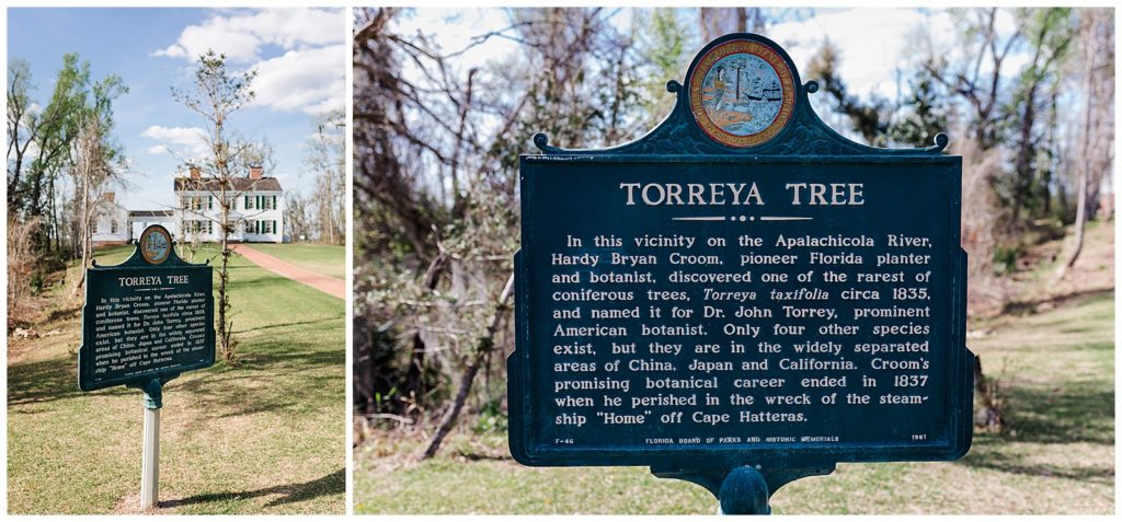 Torreya State Park sign . Pensacola Photography